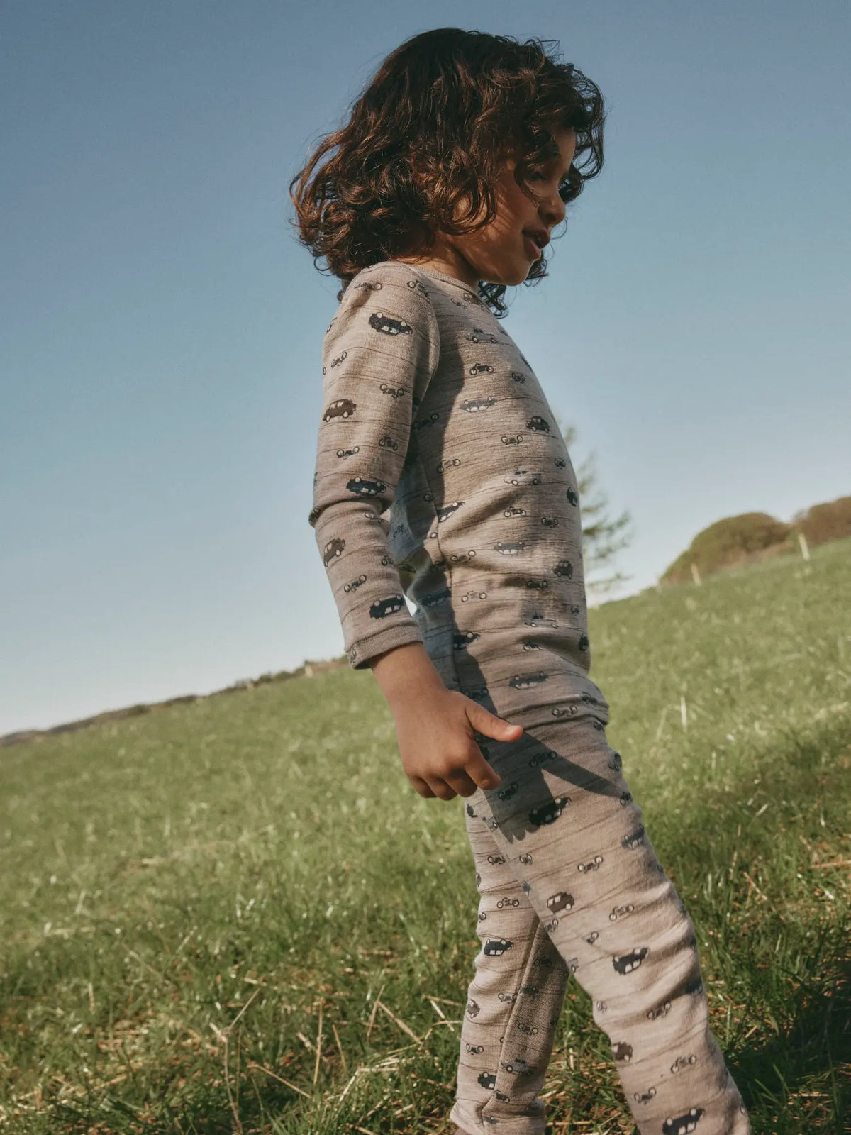 Mini Satellite Highway Longs